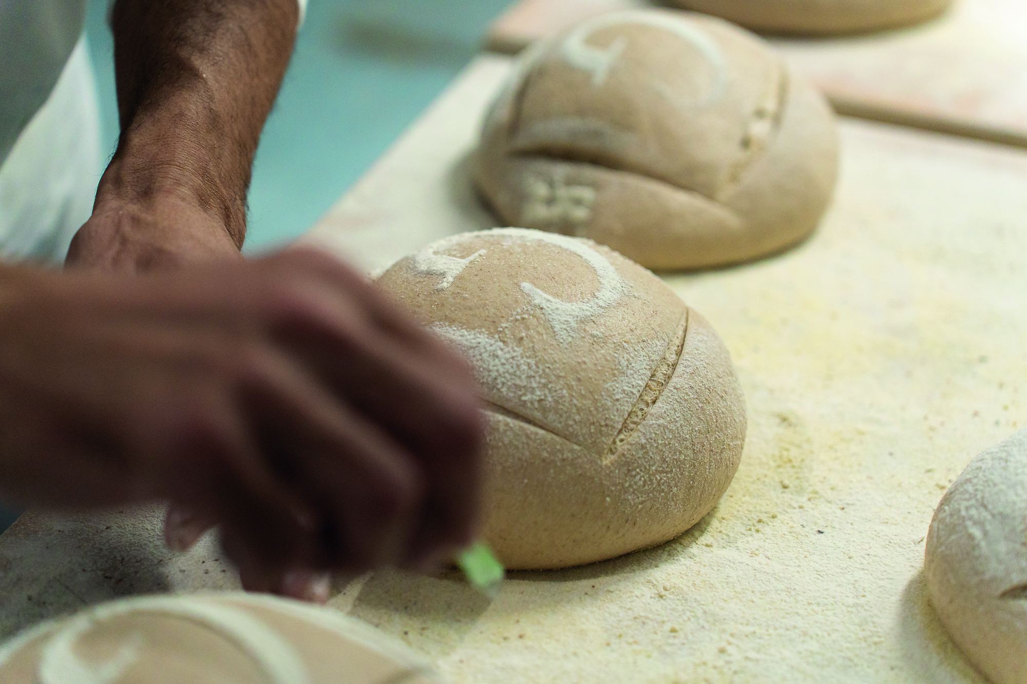 Panadero dando forma a hogazas de masa madre
